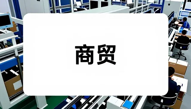 定制化软件开发